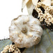 33532687 Holiday/Thanksgiving & Fall/Thanksgiving & Fall Tableware and Decor