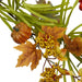 32258308 Holiday/Thanksgiving & Fall/Thanksgiving & Fall Tableware and Decor