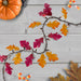 34854992 Holiday/Thanksgiving & Fall/Thanksgiving & Fall Tableware and Decor