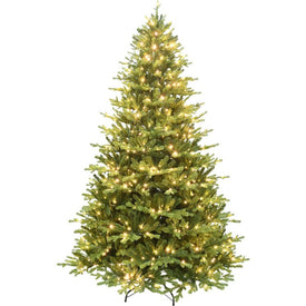 9' Pre-Lit Oregon Pine Christmas Tree with Warm White LED Lighting