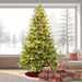 FFOP075-5GR Holiday/Christmas/Christmas Trees