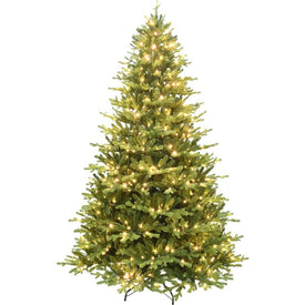 7.5' Pre-Lit Oregon Pine Christmas Tree with Warm White LED Lighting
