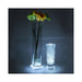 69701 Lighting/Other Lighting/Other Lighting