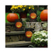 77706 Holiday/Halloween/Halloween Outdoor Decor