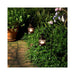 91602 Decor/Candles & Diffusers/Candle Holders