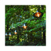 35401 Lighting/Outdoor Lighting/Outdoor String Lights