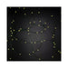 63801 Lighting/Outdoor Lighting/Outdoor String Lights