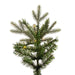 K224068LED Holiday/Christmas/Christmas Trees