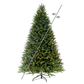9' x 67" Pre-Lit Tiffany Fraser Fir Artificial Christmas Tree with LED Color-Changing Mini Lights