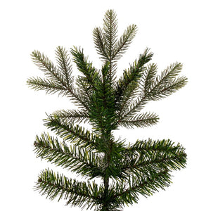 K224075 Holiday/Christmas/Christmas Trees