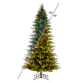 6.5' x 40" Pre-Lit Kamas Fraser Fir Artificial Christmas Tree with 3mm LED Color-Changing Lights