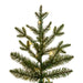 K184183LEDCC Holiday/Christmas/Christmas Trees