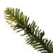 G160276LED Holiday/Christmas/Christmas Trees
