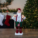 34850964 Holiday/Christmas/Christmas Indoor Decor