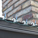 34851030 Holiday/Christmas/Christmas Lights