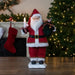 34850958 Holiday/Christmas/Christmas Indoor Decor