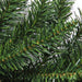 34908622 Holiday/Christmas/Christmas Indoor Decor