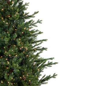 34854962 Holiday/Christmas/Christmas Trees