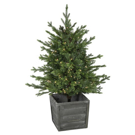 4' Pre-Lit Potted Deluxe Russian Pine Artificial Christmas Tree with Warm White LED Lights
