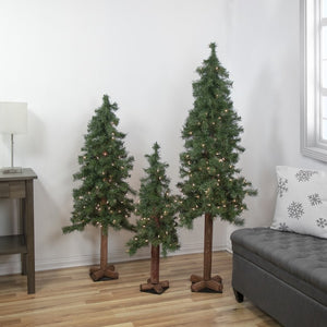 32270772 Holiday/Christmas/Christmas Trees