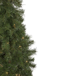 32270772 Holiday/Christmas/Christmas Trees