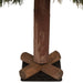32270772 Holiday/Christmas/Christmas Trees