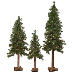 32270772 Holiday/Christmas/Christmas Trees