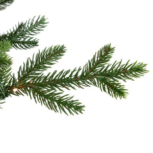 34854963 Holiday/Christmas/Christmas Trees