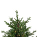 34854963 Holiday/Christmas/Christmas Trees