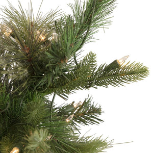 34908593 Holiday/Christmas/Christmas Trees