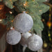 32913433 Holiday/Christmas/Christmas Ornaments and Tree Toppers