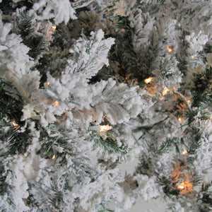 31466105 Holiday/Christmas/Christmas Trees