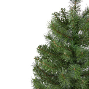 31742036 Holiday/Christmas/Christmas Trees