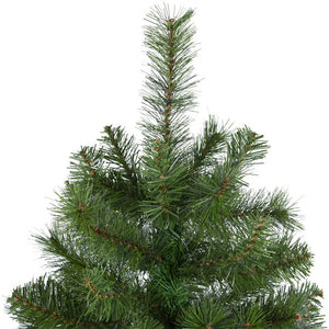 31742036 Holiday/Christmas/Christmas Trees
