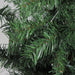 32270710 Holiday/Christmas/Christmas Trees