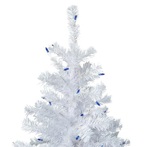 34908626 Holiday/Christmas/Christmas Trees