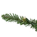31451227 Holiday/Christmas/Christmas Trees