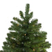 31451227 Holiday/Christmas/Christmas Trees