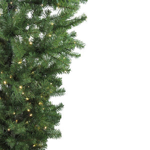 32265442 Holiday/Christmas/Christmas Trees