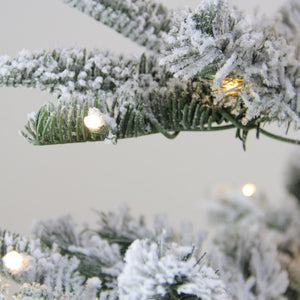 32275052 Holiday/Christmas/Christmas Trees