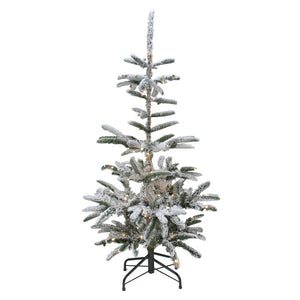 32275052 Holiday/Christmas/Christmas Trees