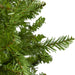 31450638 Holiday/Christmas/Christmas Trees