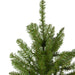 31450638 Holiday/Christmas/Christmas Trees