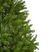 31450638 Holiday/Christmas/Christmas Trees