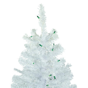 34908627 Holiday/Christmas/Christmas Trees