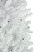 34908627 Holiday/Christmas/Christmas Trees