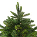 33663419 Holiday/Christmas/Christmas Trees