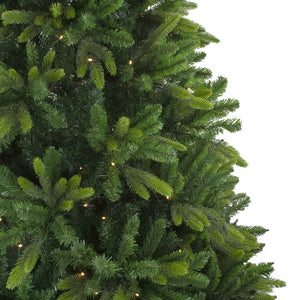 33663419 Holiday/Christmas/Christmas Trees