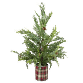 24" Unlit Iced Cedar Artificial Christmas Tree in Plaid Pot
