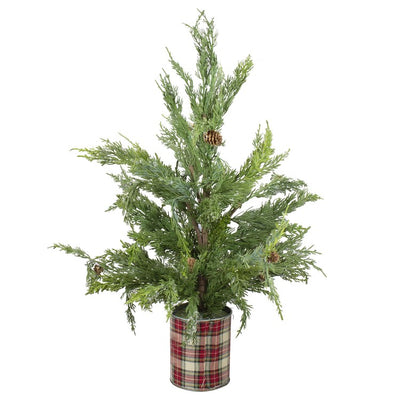 34729292 Holiday/Christmas/Christmas Trees